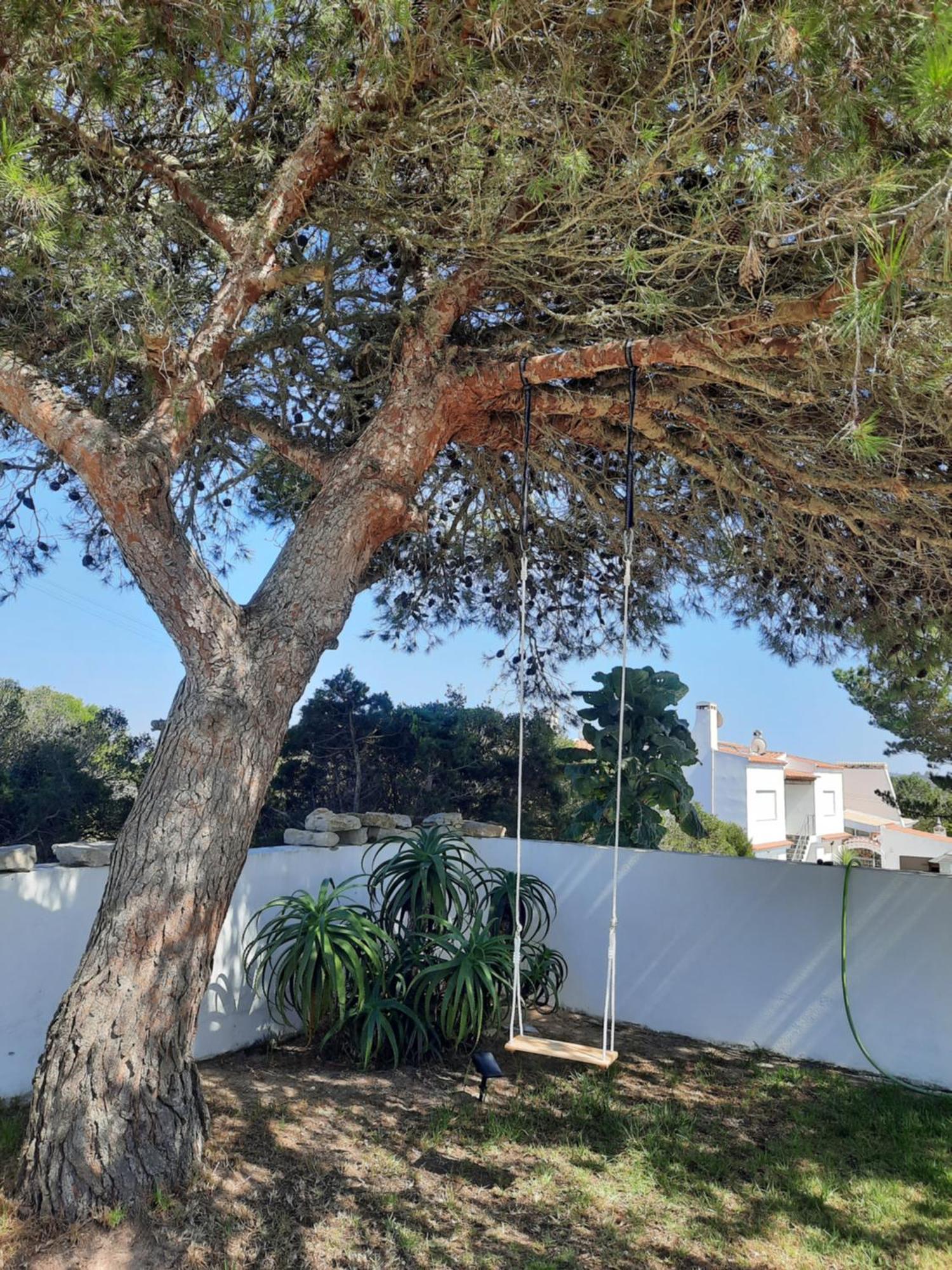 Casa Clerigo Espartal Bed & Breakfast Aljezur Dış mekan fotoğraf
